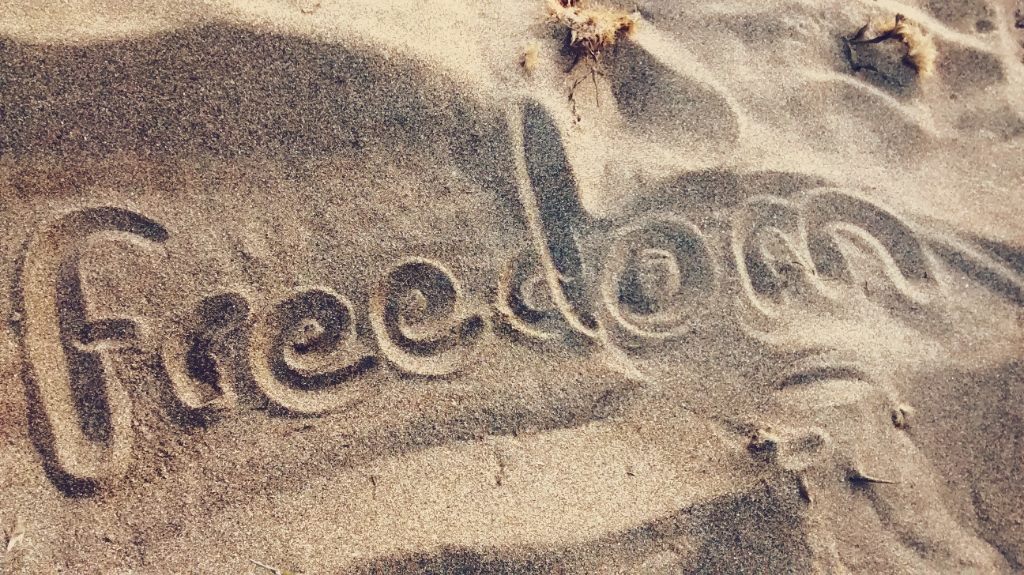 11050657_10206099315630199_8099330466514901517_o