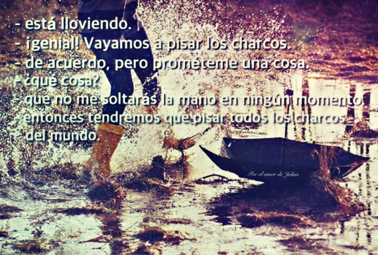 4a23b6e5f8497fc50e2514a7179c1902