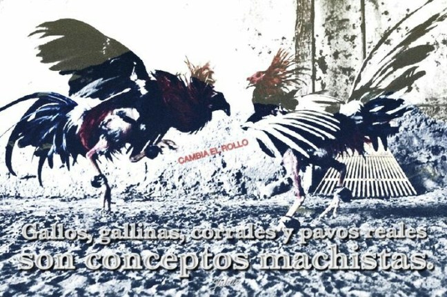gallo