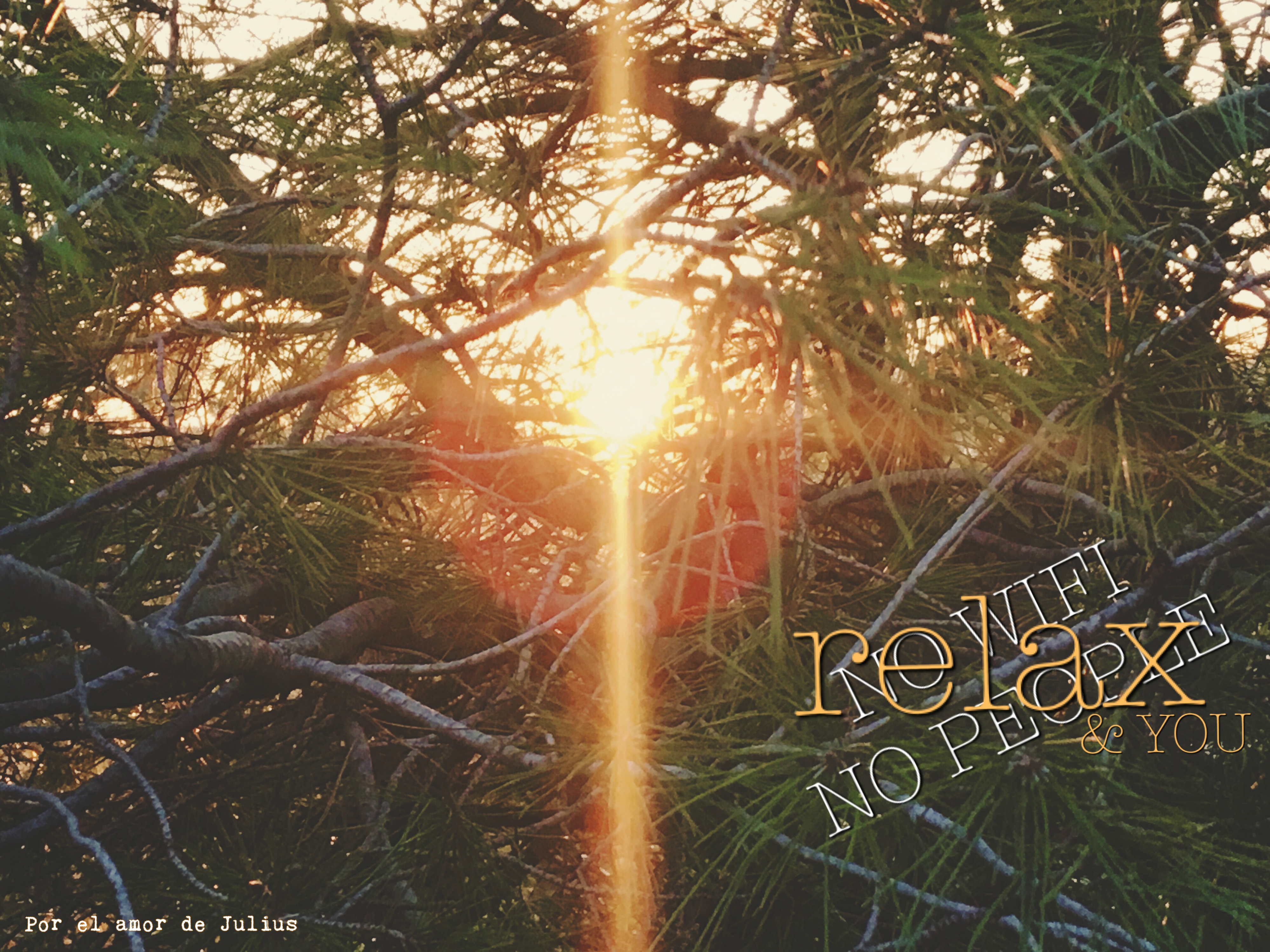 relax julius nature1