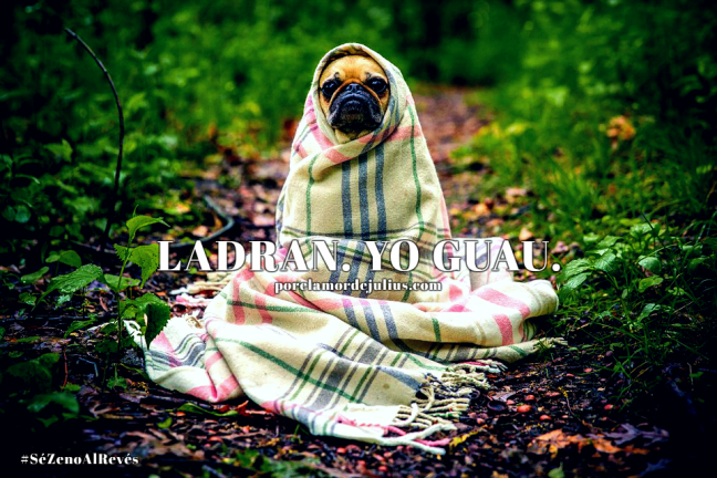 SéZenOAlRevés(II) 2018 porelamordejulius.jpg