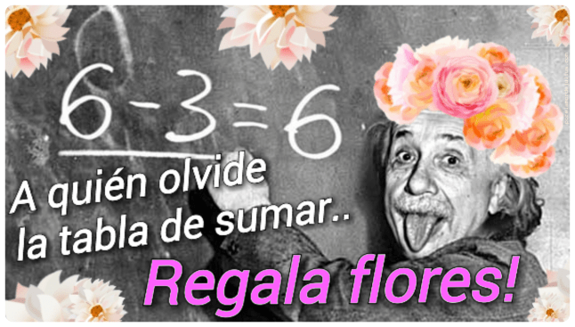 Regala Flores 2019 porelamordejulius.com