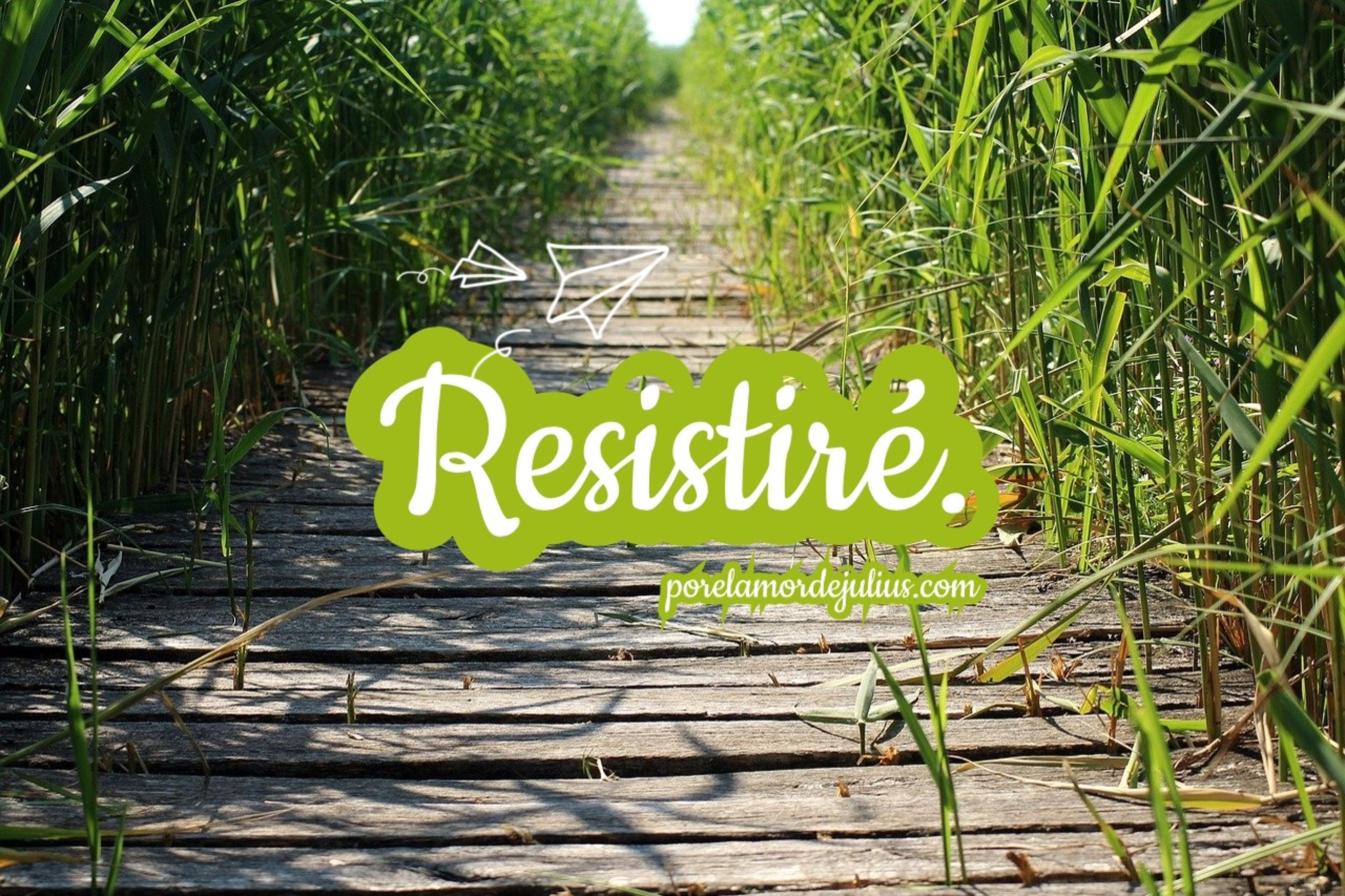 Resistiré 2020 porelamordejulius